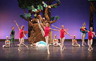 Joven Ballet de Valencia